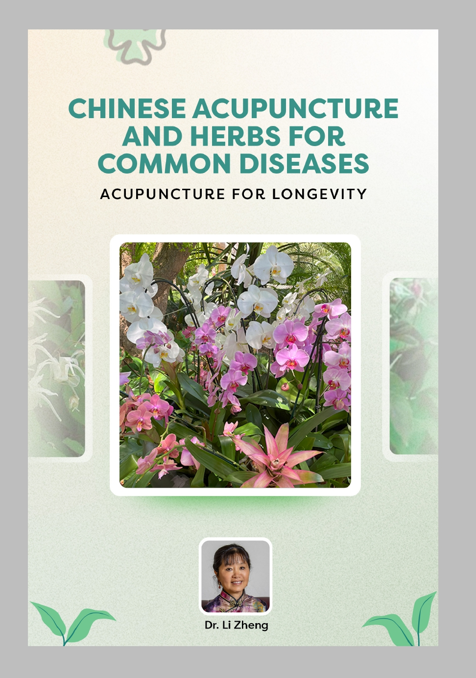 Chinese Acupuncture and Herbs for Common Diseases